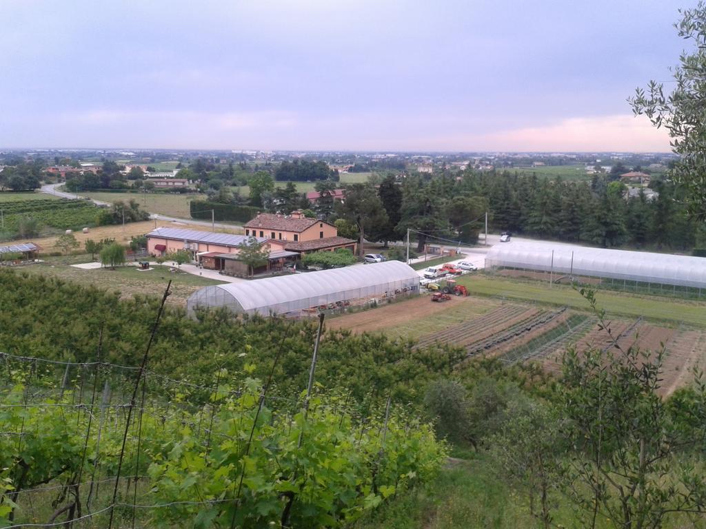 Agriturismo Perugini Bed & Breakfast Cesena Exterior photo